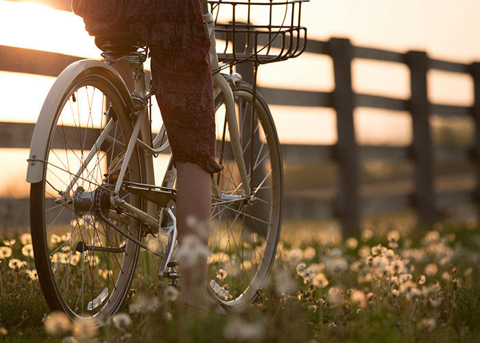 Person from Gen X riding a bicycle through a flower field at sunset, enjoying a peaceful outdoor moment.
