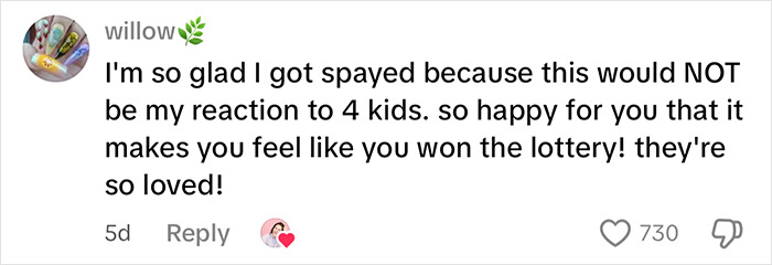 Comment expressing relief about being spayed and reacting to having four kids, highlighting mom and kids surprise.