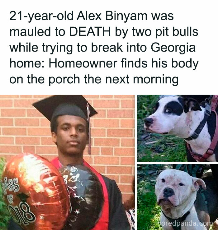 Young man in graduation attire and two pit bulls involved in a disturbing and unsettling event in Georgia.