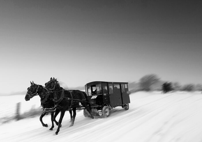 "Running Through The Silence Of Snow" By Raghuvamsh Chavali (Canada)