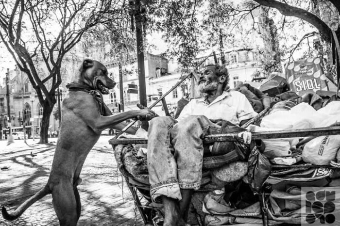 Homeless man sitting on a cart interacting with his dog in an urban park, capturing lives of homeless people and their dogs.