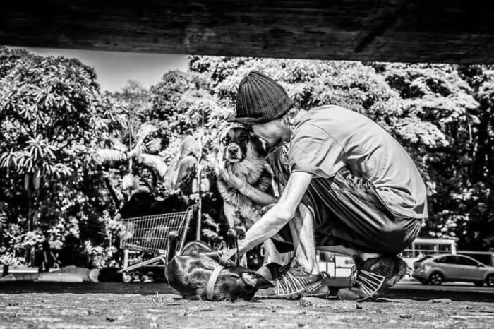 Man wearing a beanie playing with two dogs under a bridge in a park, capturing the lives of homeless people and their dogs.