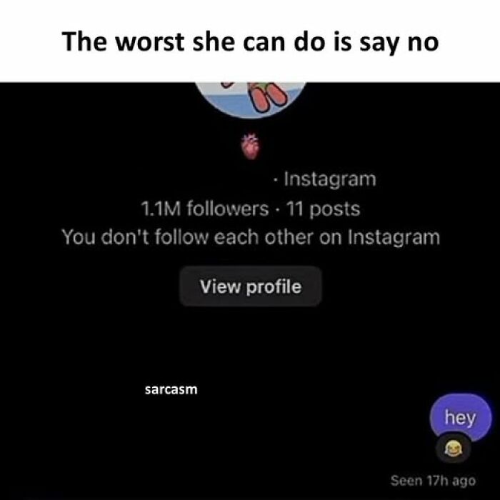 Hilarious meme showing Instagram profile and sarcastic message about following and saying no.