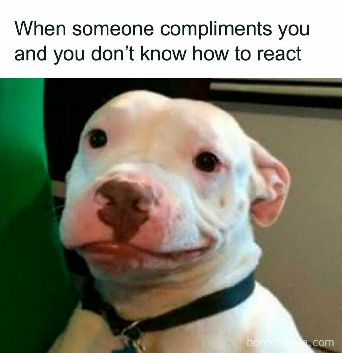 Amusing-Sarcasm-Memes