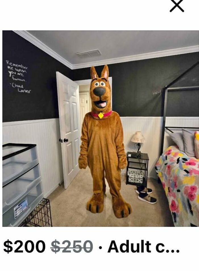 Person wearing a full Scooby-Doo costume listed among wildest things for sale on Facebook Marketplace.