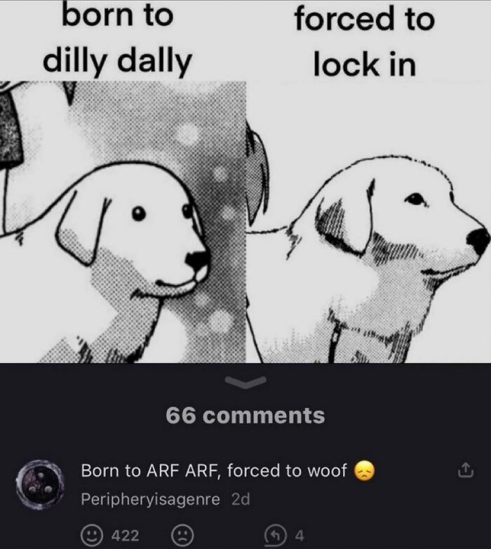 Black and white chaotic meme of a dog with text about being born to dilly dally and forced to lock in, with social media comments.