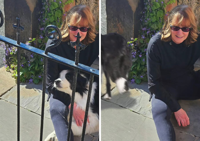Woman wearing sunglasses sitting outside with her dog in a humorous Photoshop edit showing the dog disappearing behind a fence.