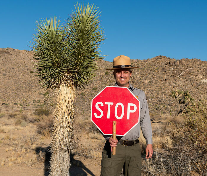 Park ranger holding a stop sign in a desert landscape, illustrating one of the jobs earning more than expected online.