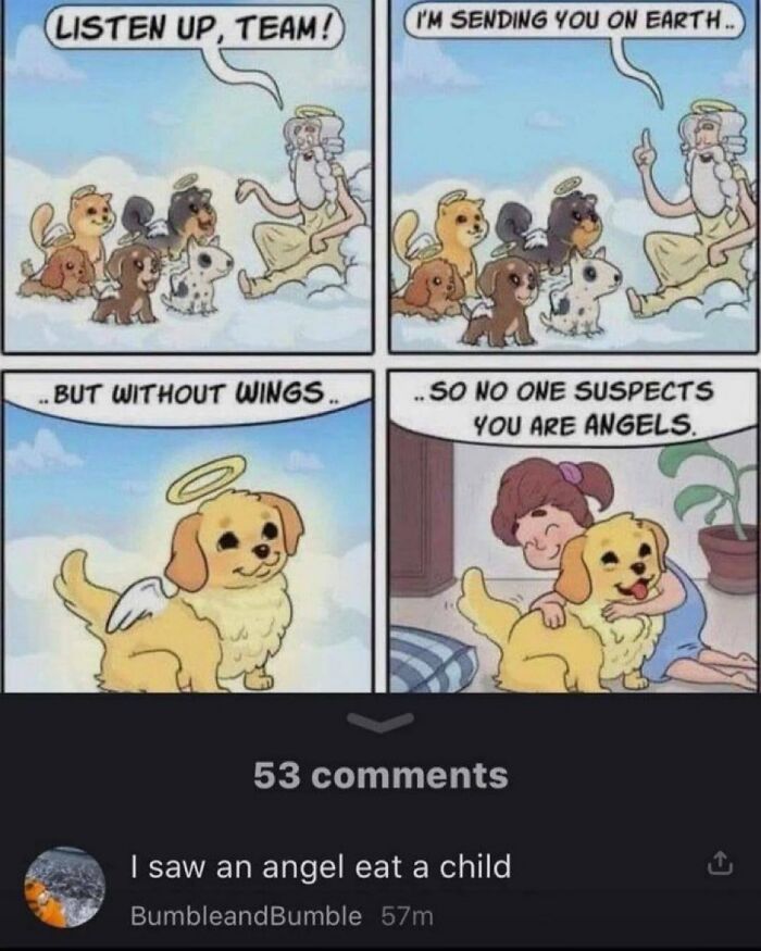 Cartoon dogs with angel wings sent to Earth, showing chaotic memes featuring humorous and cute moments with pets.