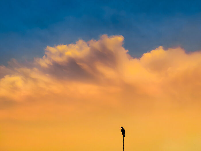 Poetry Of The Ordinary