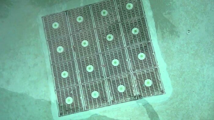 Underwater view of a metal grate with circular patterns showing a casual thing that can actually be deadly.