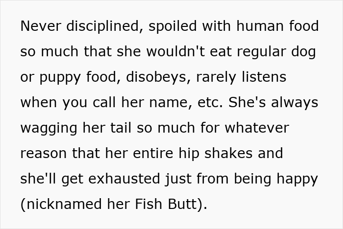 Child playing with dog at park as owner tries to stop them, parents say kids deserve it after attempted dog theft.