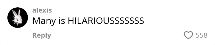 User profile featuring a black and white rabbit icon with a comment saying Many is HILARIOUSSSSSS and 558 likes.