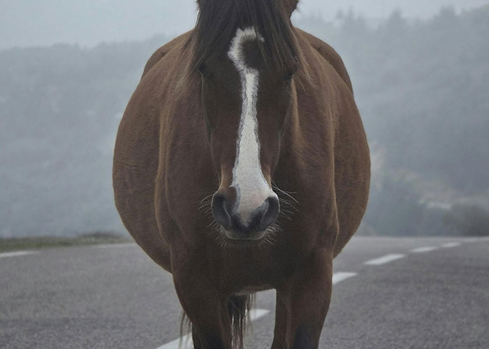 “We Need To Leave… Now”: 40 Heart-Pounding Moments When Gut Instinct Meant Everything