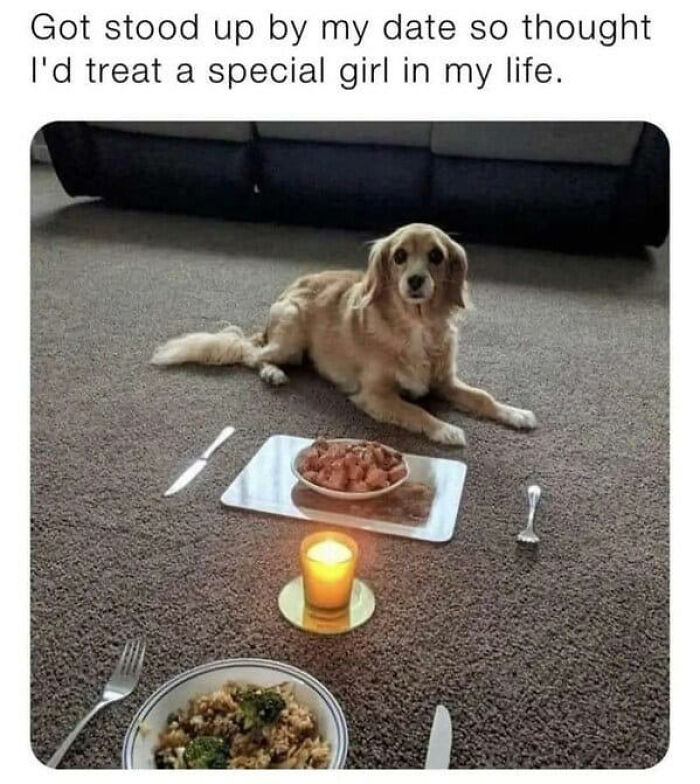 Dog lying on carpet with a dinner setup and candle, part of funny and silly animal memes to boost spirits.