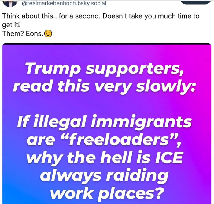 Social media post questioning the logic behind ICE raiding workplaces of illegal immigrants, highlighting facepalm moments.