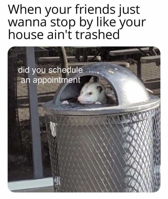 Possum peeking out of trash can with funny caption about friends stopping by in relatable funny pics.