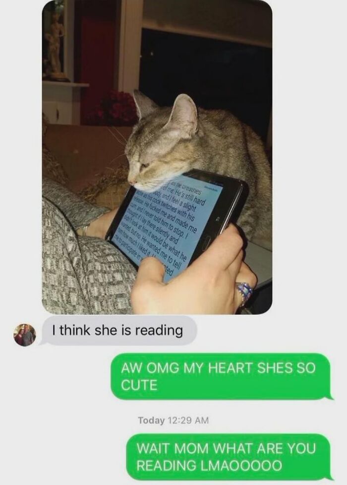 Cat resting its head on a phone screen with text, funny chaotic meme about reading and unexpected moments.