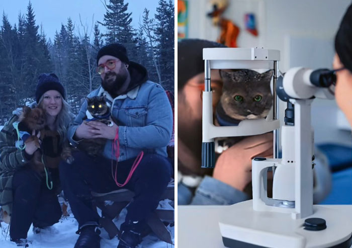 Couple with pets outdoors and cat at an eye exam, featuring hilarious Photoshop edits taking photo requests literally.