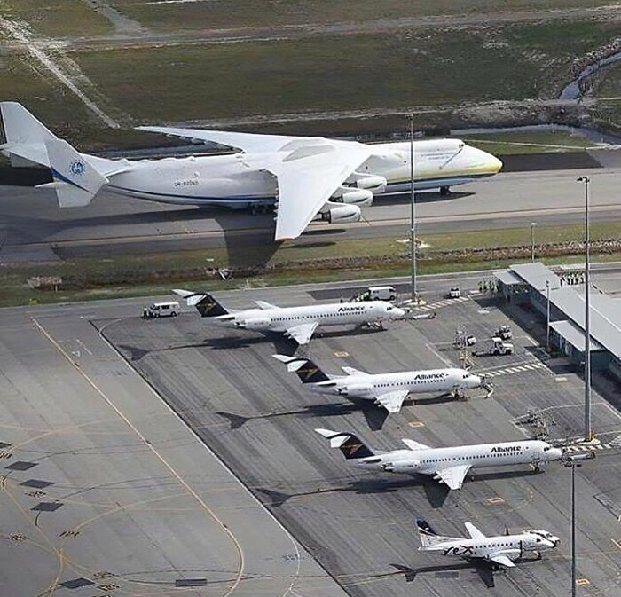Massive cargo airplane parked on runway next to several smaller commercial planes showing scale for megalophobia fans.