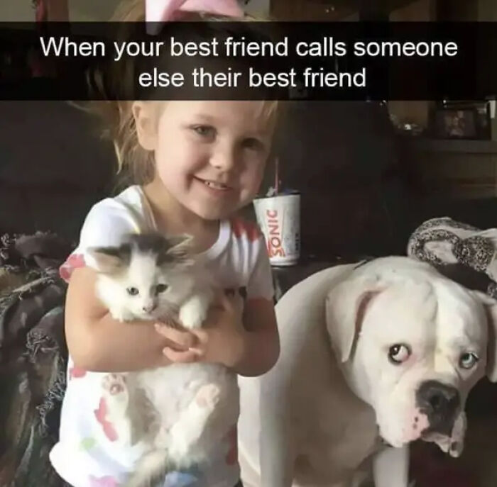 Little girl holding a kitten with a sad dog nearby, a funny and silly animal meme to keep your spirits up.