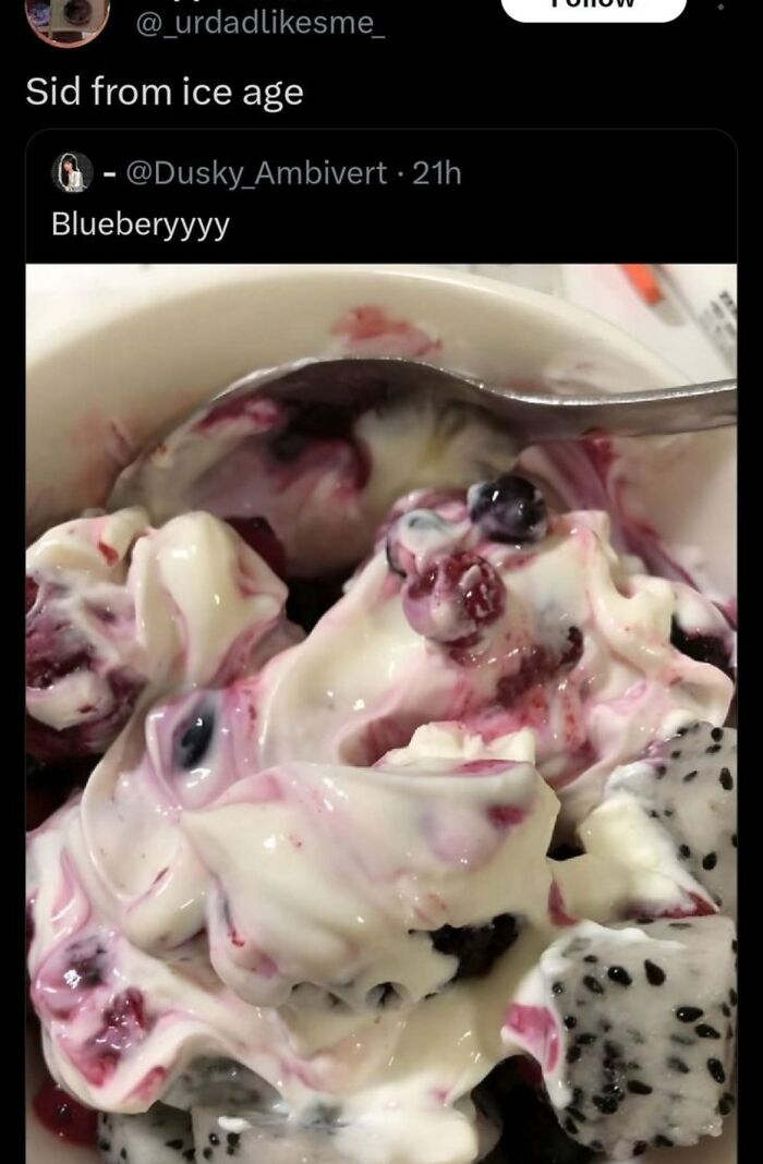 Close-up of creamy dessert with blueberries and dragon fruit, featured in funny memes to lighten a hard day.