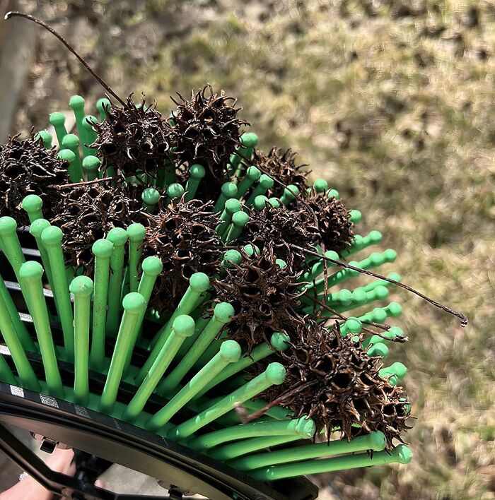 Green gardening tool collecting spiky seed pods outdoors, showcasing best gardening finds for plant care efficiency.