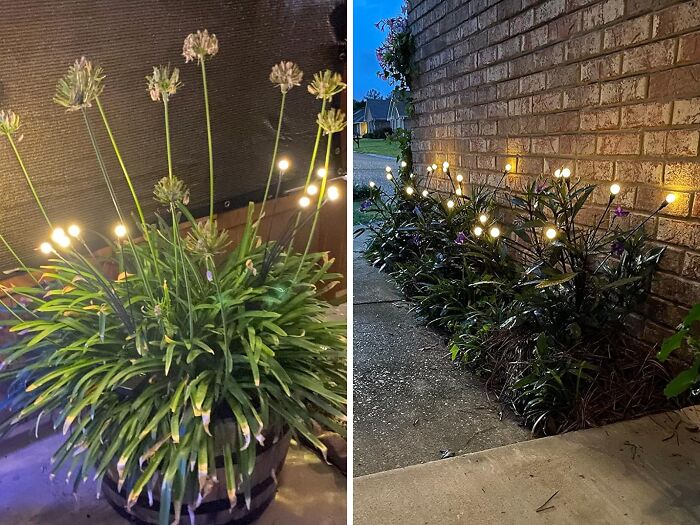 Glowing garden lights shaped like flowers illuminating plants and walkways at dusk and night outside a home.