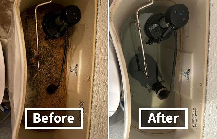 Before and after cleaning of a toilet tank, demonstrating effective ways to ditch the slob life and start fresh.