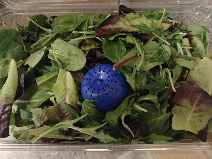 Fresh mixed salad greens with a blue moisture absorber inside a plastic container symbolizing ways to start ditching the slob life