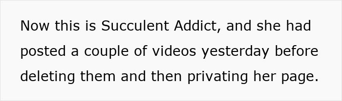 Text on a white background discussing a person named Succulent A****t deleting videos and privating her page.