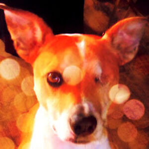 rileylocklear avatar