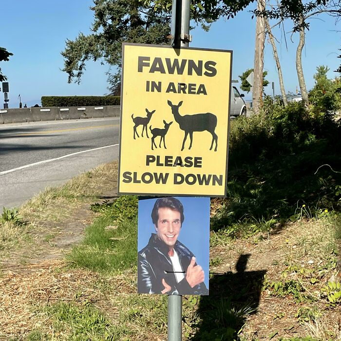 Street sign warning of fawns in area with added wholesome vandalism featuring a smiling man giving thumbs up.