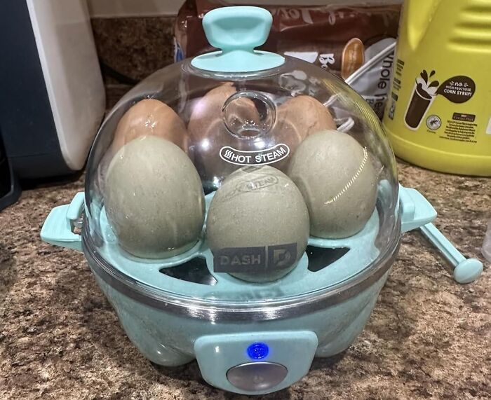 Electric egg cooker with transparent lid on kitchen counter, showcasing smart gadgets for upgrading kitchen IQ.