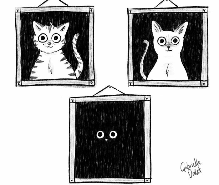 Three framed cat illustrations with witty twist showing two cats and one with only eyes visible in dark frame, wholesome comics style.
