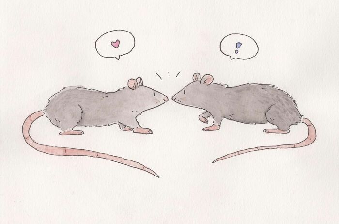 Two rats face each other with speech bubbles showing a heart and an exclamation in a wholesome comic style.