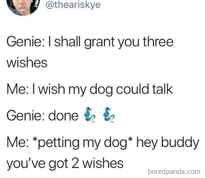 Text meme about a genie granting three wishes with a wholesome twist involving a dog in funny memes.