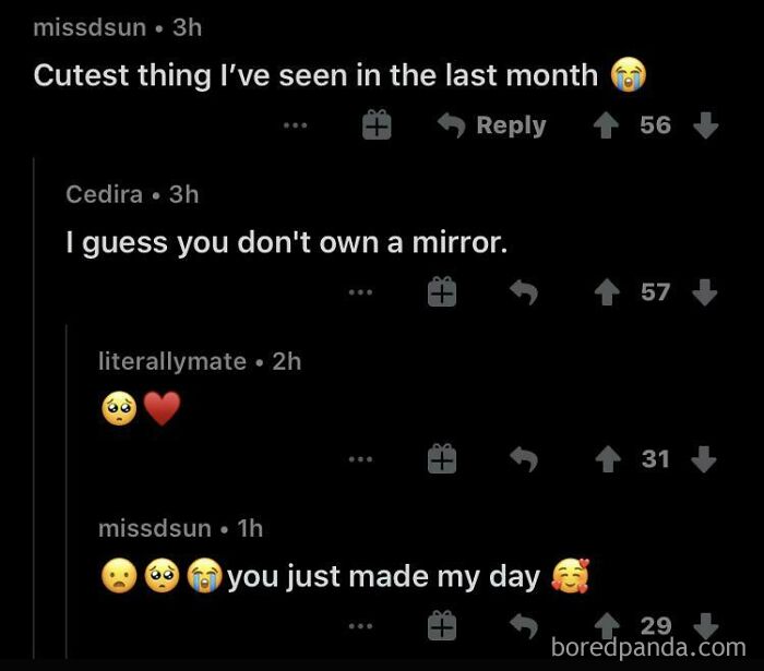 Reddit conversation with wholesome comments making someone's day, showcasing memes that took an unexpected wholesome turn.