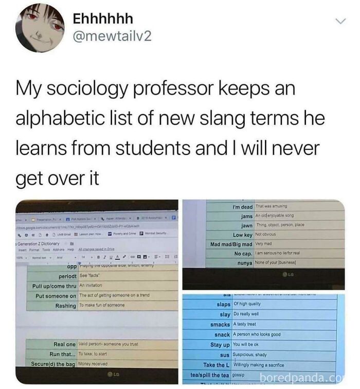 Screenshot of a meme showing a sociology professor's list of new slang terms, illustrating wholesome meme content.