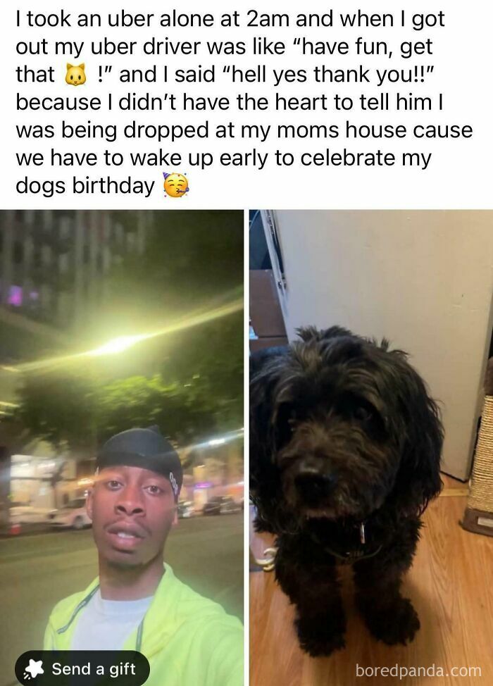 Late night Uber ride story turning wholesome with a dog’s birthday celebration in these unexpected wholesome memes.