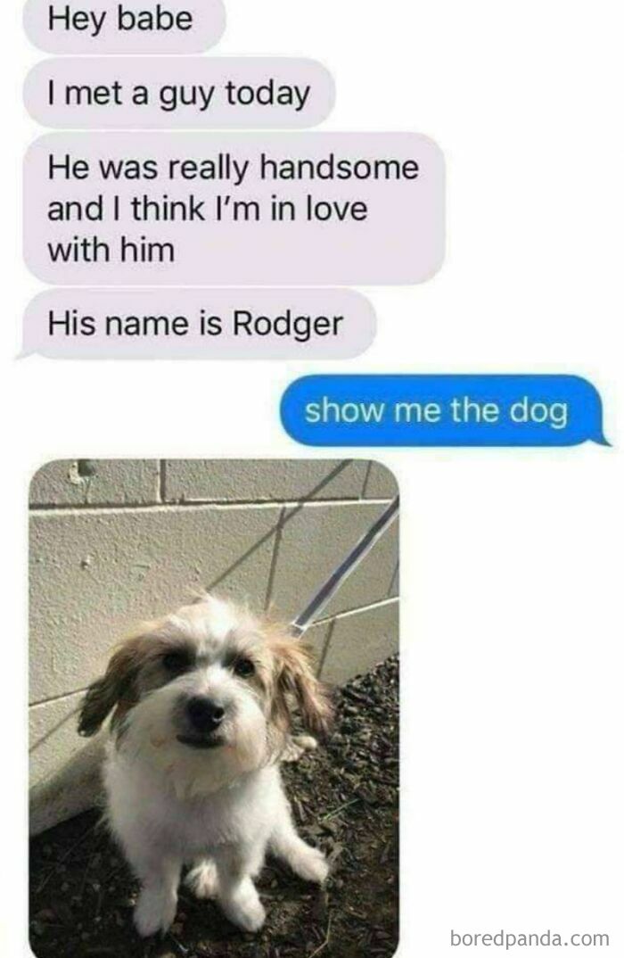 Text message meme showing a conversation about meeting a handsome guy named Rodger followed by a photo of a cute dog.