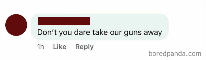 Comment on social media expressing strong opinion about gun rights reflecting ignorance of Americans.