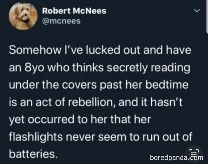 Tweet about an 8-year-old secretly reading under covers past bedtime, highlighting wholesome moments that feel good about the world.
