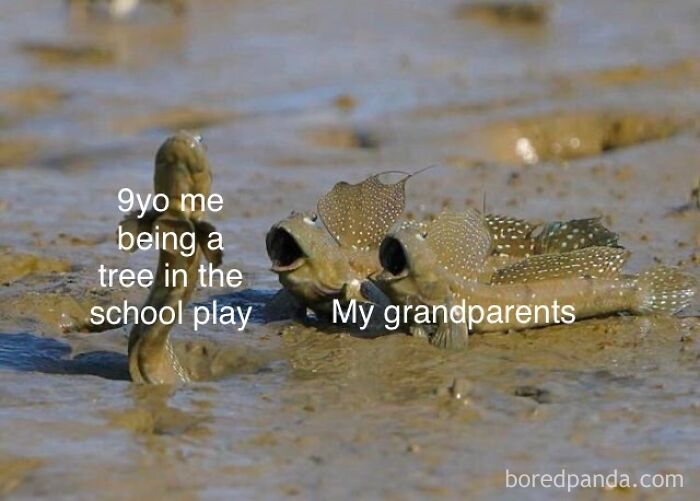 Two mudskipper fish on muddy ground with text about grandparents and childhood, a wholesome meme example.