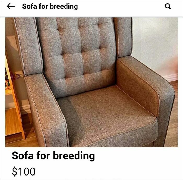 Grey cushioned sofa listed for sale with an unusual description on Facebook Marketplace in a home setting.