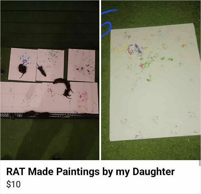 Rats creating colorful paintings on paper, showcasing unusual and wild items found on Facebook Marketplace.