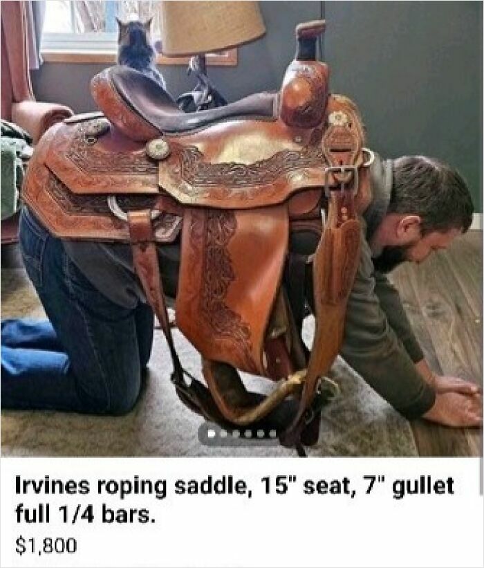 Man on hands and knees wearing a large leather roping saddle as a cat sits on top in a wild Facebook Marketplace listing.
