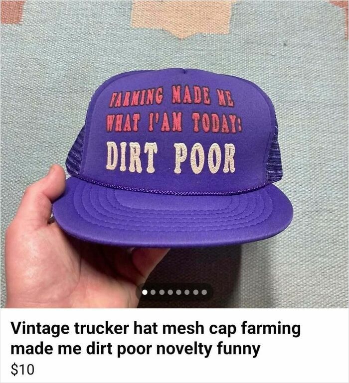 Purple vintage trucker hat with farming made me dirt poor slogan listed on Facebook Marketplace wild listings screenshot.