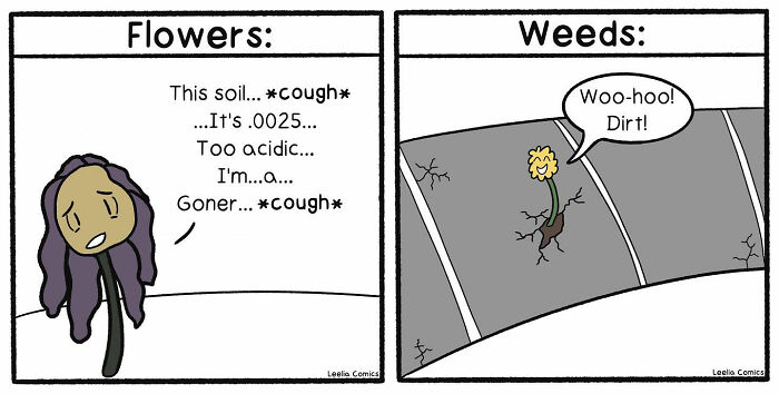 Comic showing a sad flower struggling in acidic soil and a happy weed thriving in c*****d pavement, capturing everyday life chaos.