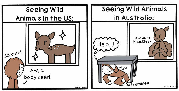 Comic illustrating funny and relatable everyday life moments with wild animals in the US and Australia.